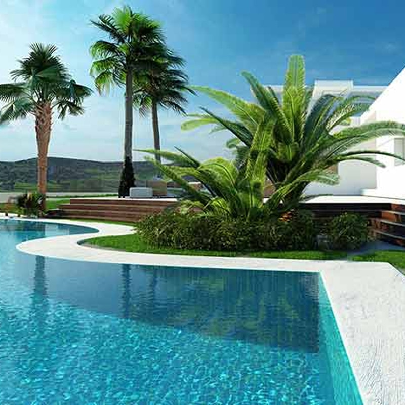 Piscine et palmiers : l'ambiance tropicale de luxe. Piscine de luxe courbe avec margelle blanche, entourée de végétation tropicale luxuriante et de grands palmiers près d'une villa moderne.